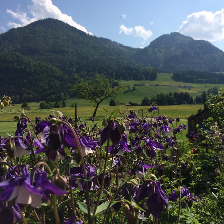 Schifterhof Ruhpolding 빌라 외부 사진