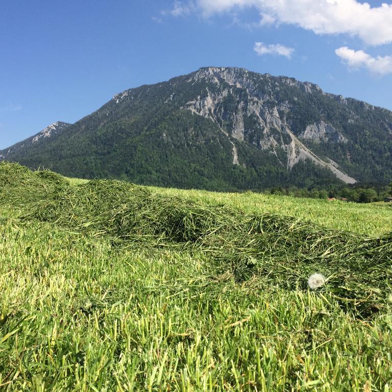 Schifterhof Ruhpolding 빌라 외부 사진